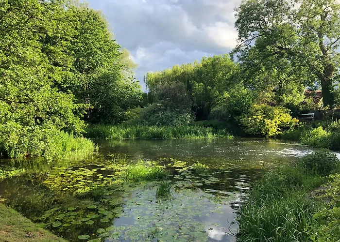 Waterside, Elmham Watermill, Norfolk